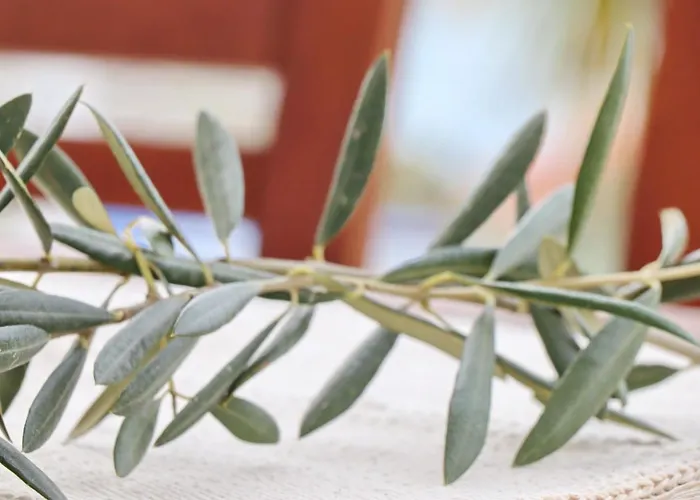 Дом отдыха Rosemary